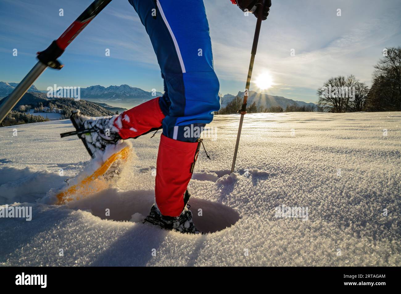 Escursione con racchette da neve a Gaisberg, Gaisberg, Salzkammergut, Salzkammergut, Salisburgo, Austria Foto Stock