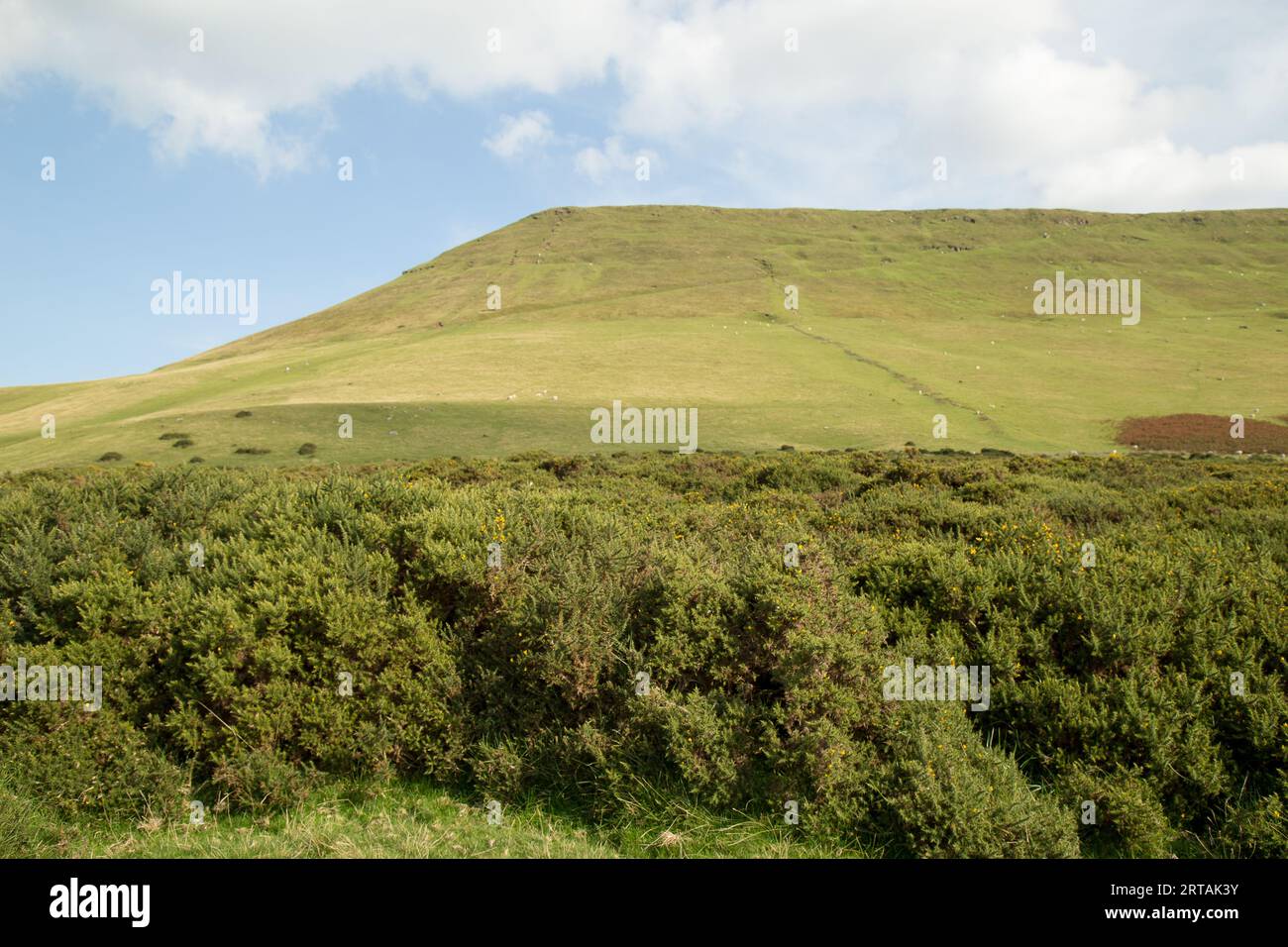Gospel Pass Black Mountains Brycheiniog Brecon Beacons Foto Stock