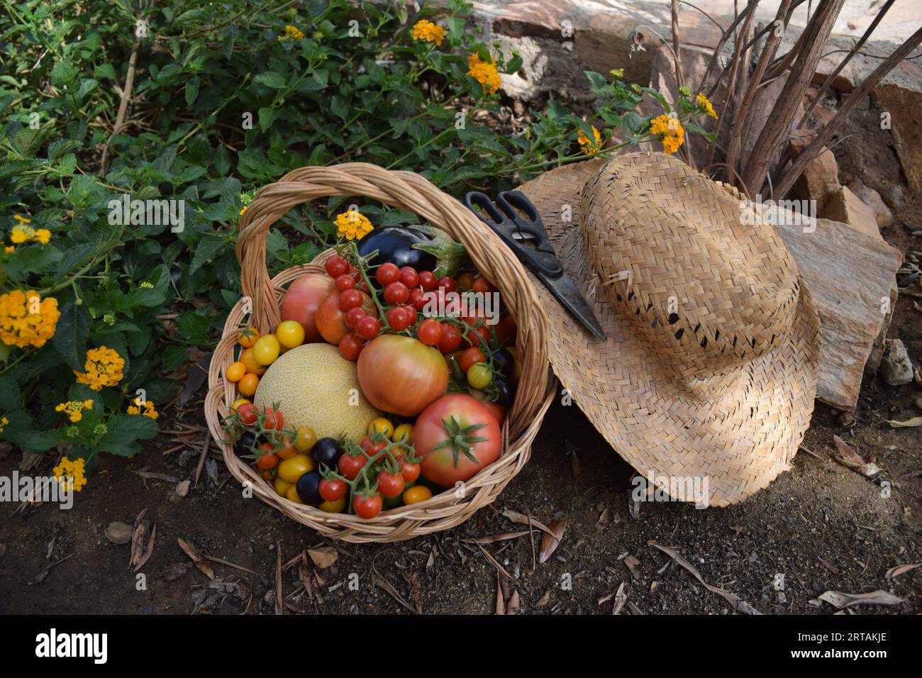 Verdure all'interno di un cesto di legno accanto a un cappello di paglia, provenienti da una fattoria di campagna Foto Stock