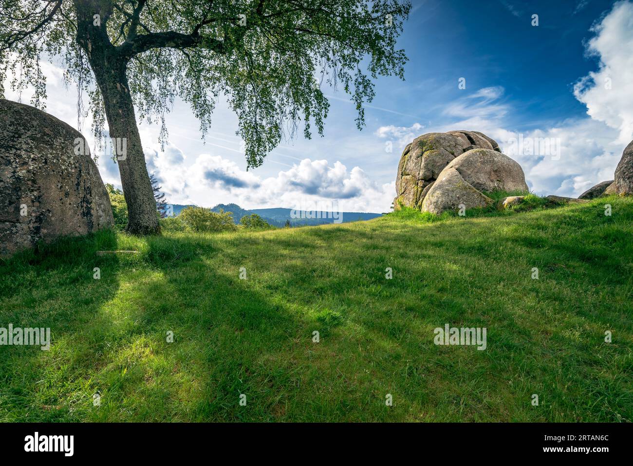 Giochi di luci e ombre al Giersteinen di Bermersbach, Forbach, Foresta Nera, Baden-Württemberg, Germania Foto Stock