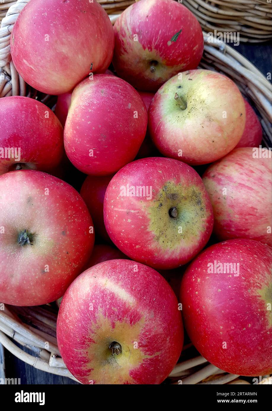 Dettaglio di un cesto di mele rosse su un tavolo di legno. Foto Stock