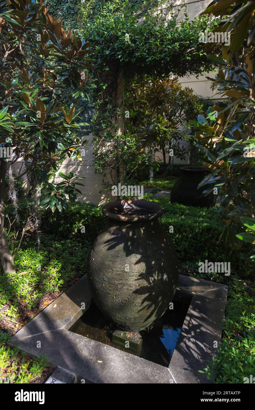 Piante da giardino in vendita, Double Bay, Sydney, NSW, Australia. Foto Stock