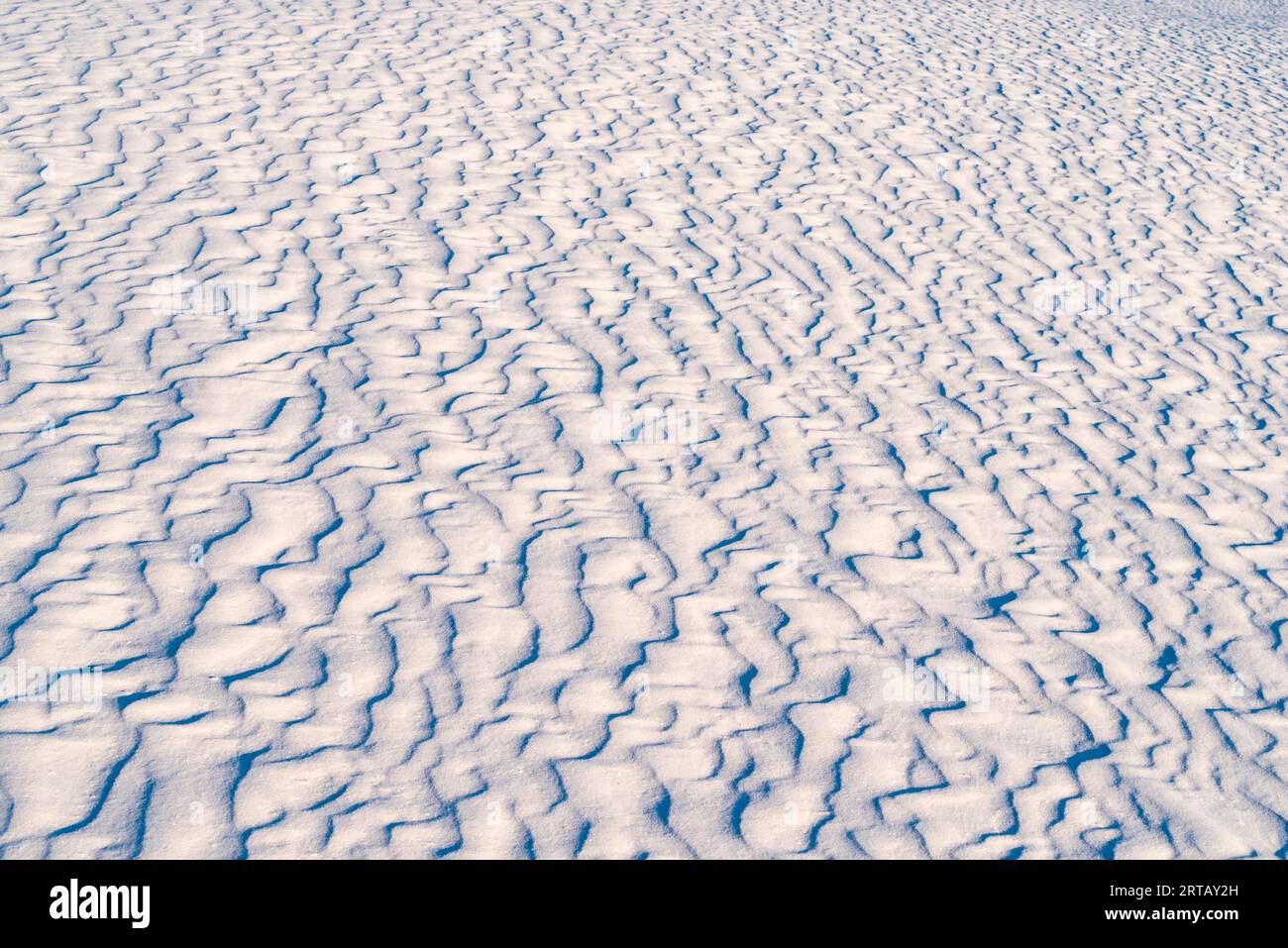 Dettaglio delle dune di gesso nel White Sands National Monument nel New Mexico. Foto Stock