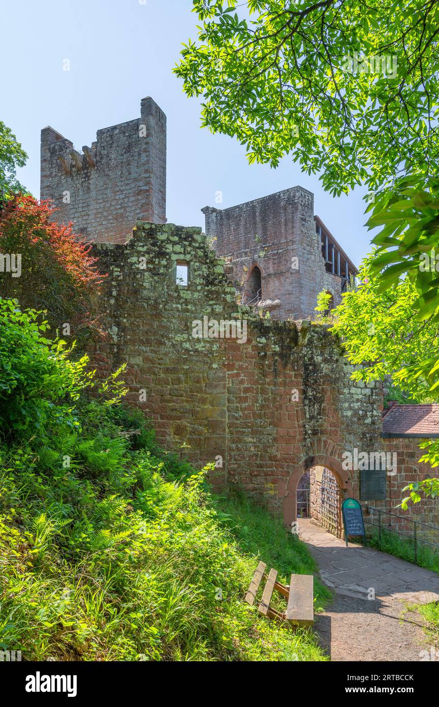 Castello di Spangenberg, Foresta Palatinata, Renania-Palatinato, Germania Foto Stock