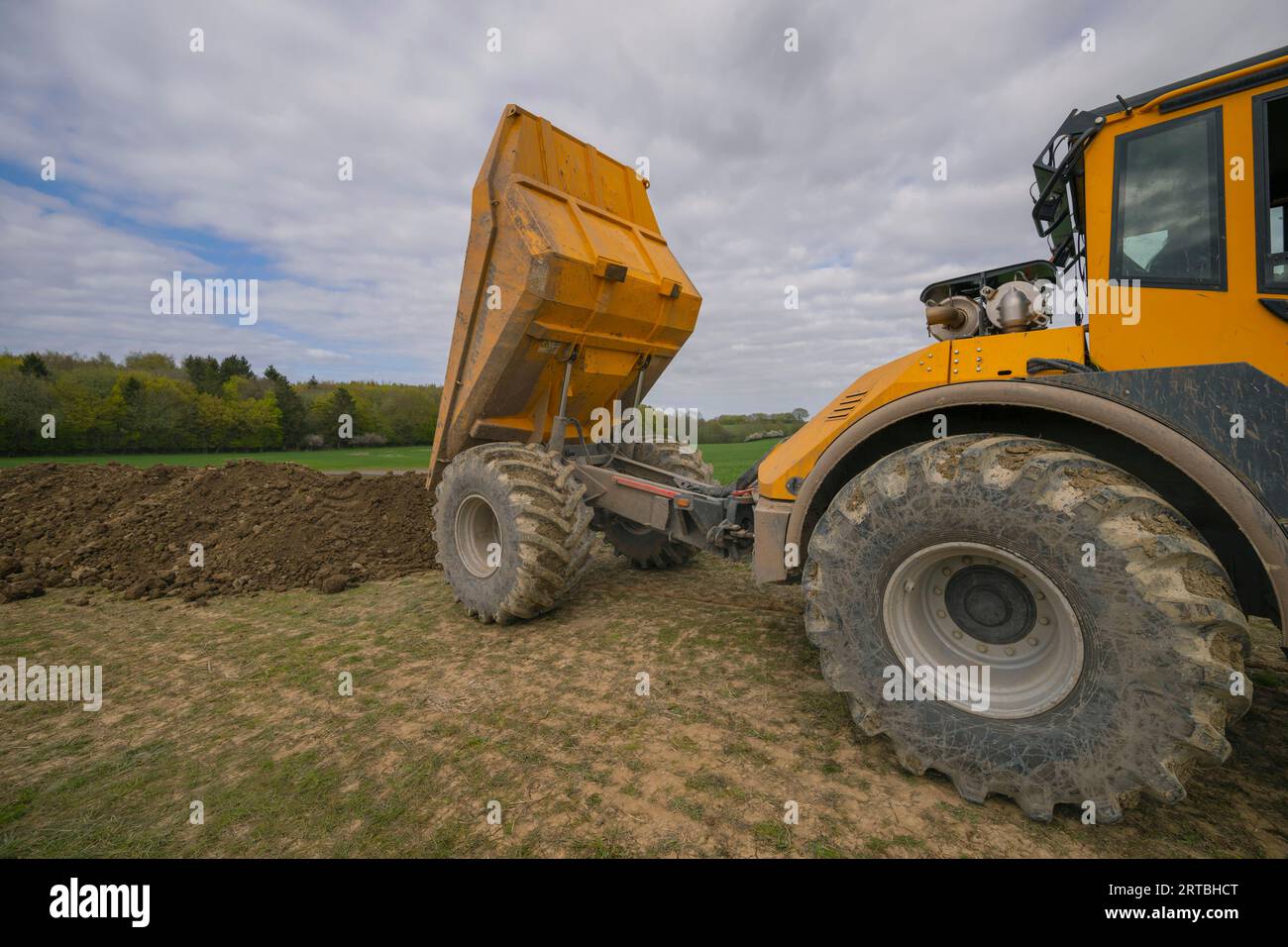 Il camion di scarico accumula il suolo, creando nuovi biotopi per gli anfibi, Germania, Schleswig-Holstein Foto Stock