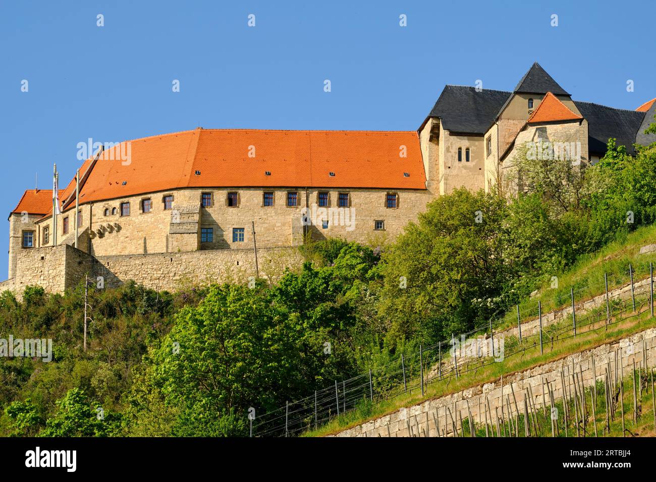 Castello di Neuenburg vicino a Freyburg an der Unstrut, Burgenlandkreis, Sassonia-Anhalt, Germania Foto Stock