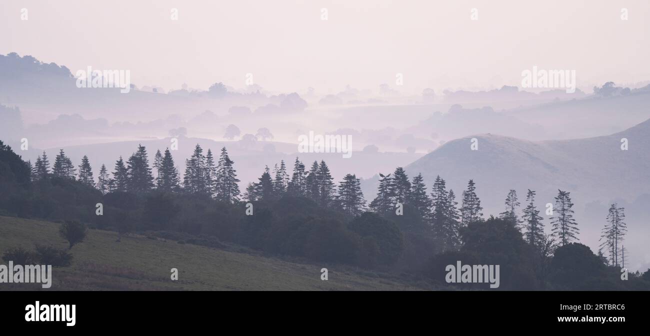 Vista da Stiperstones, una cresta rocciosa di quarzite nel South Shropshire, Inghilterra. Foto Stock