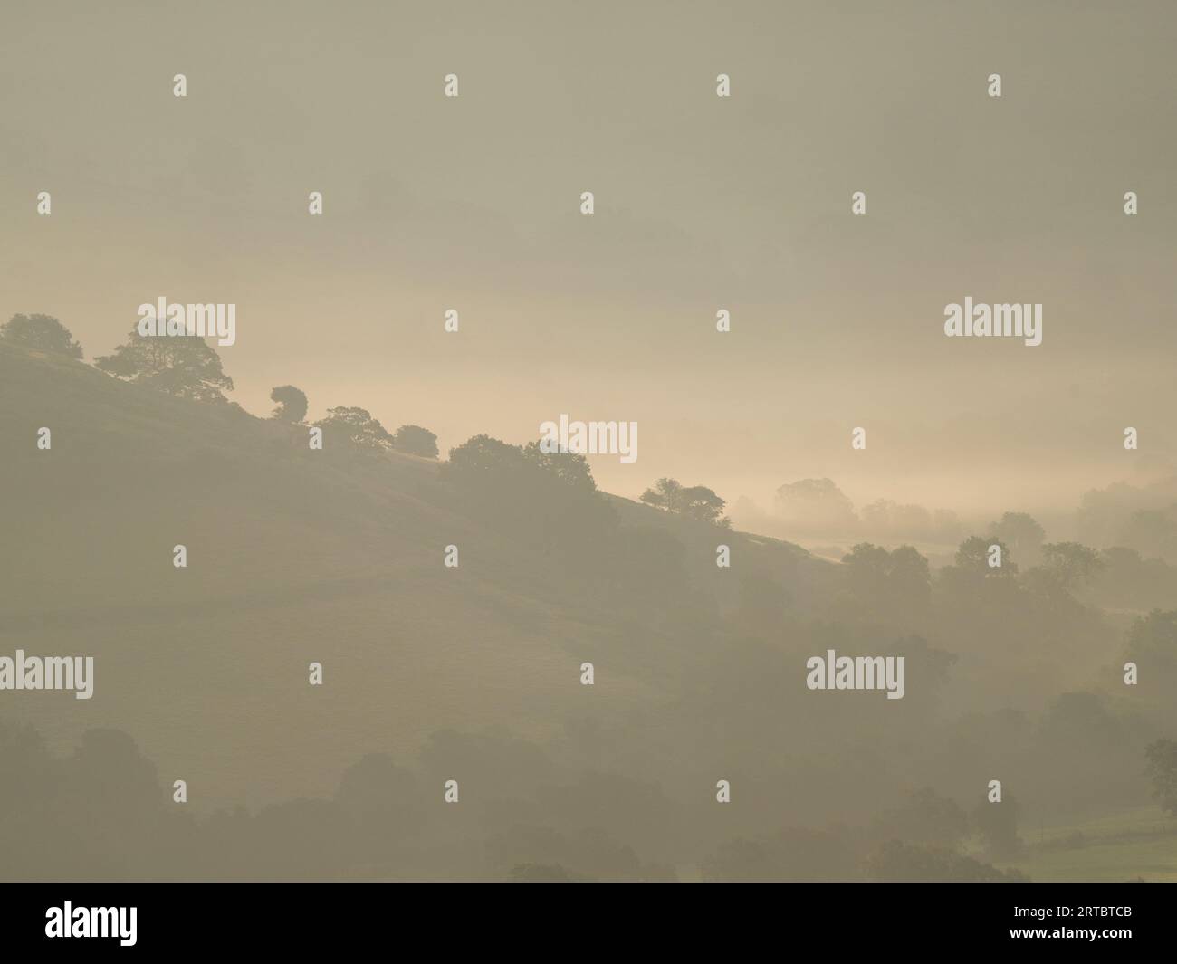 Vista da Stiperstones, una cresta rocciosa di quarzite nel South Shropshire, Inghilterra. Foto Stock