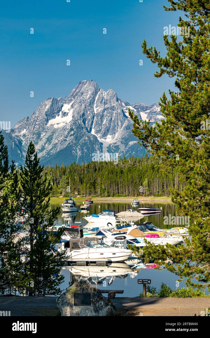 Vista del grande Teton all'alba dalla baia di Colter Foto Stock