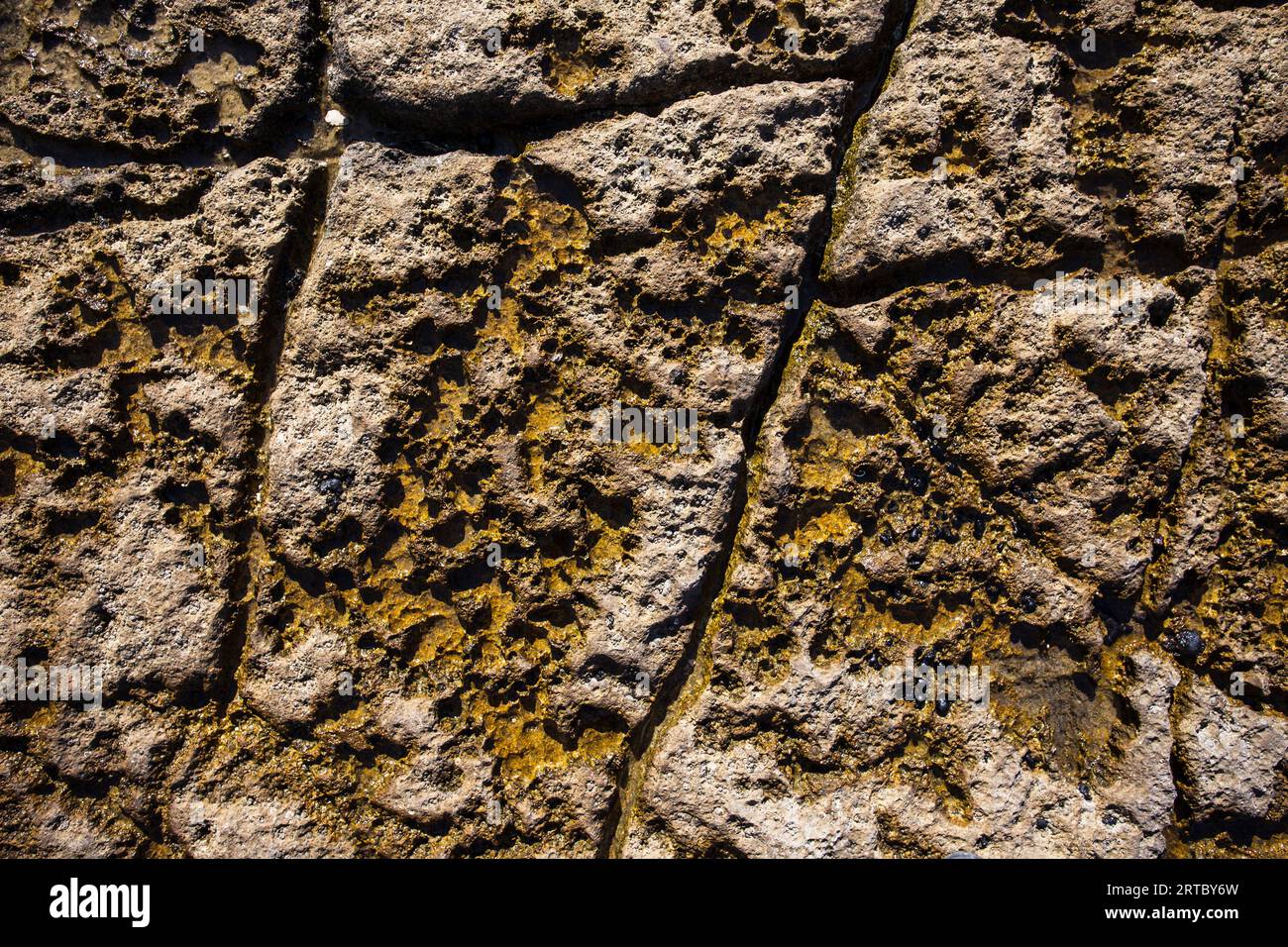 Immagine astratta, motivo in pietra con muschio in spazi netti Foto Stock