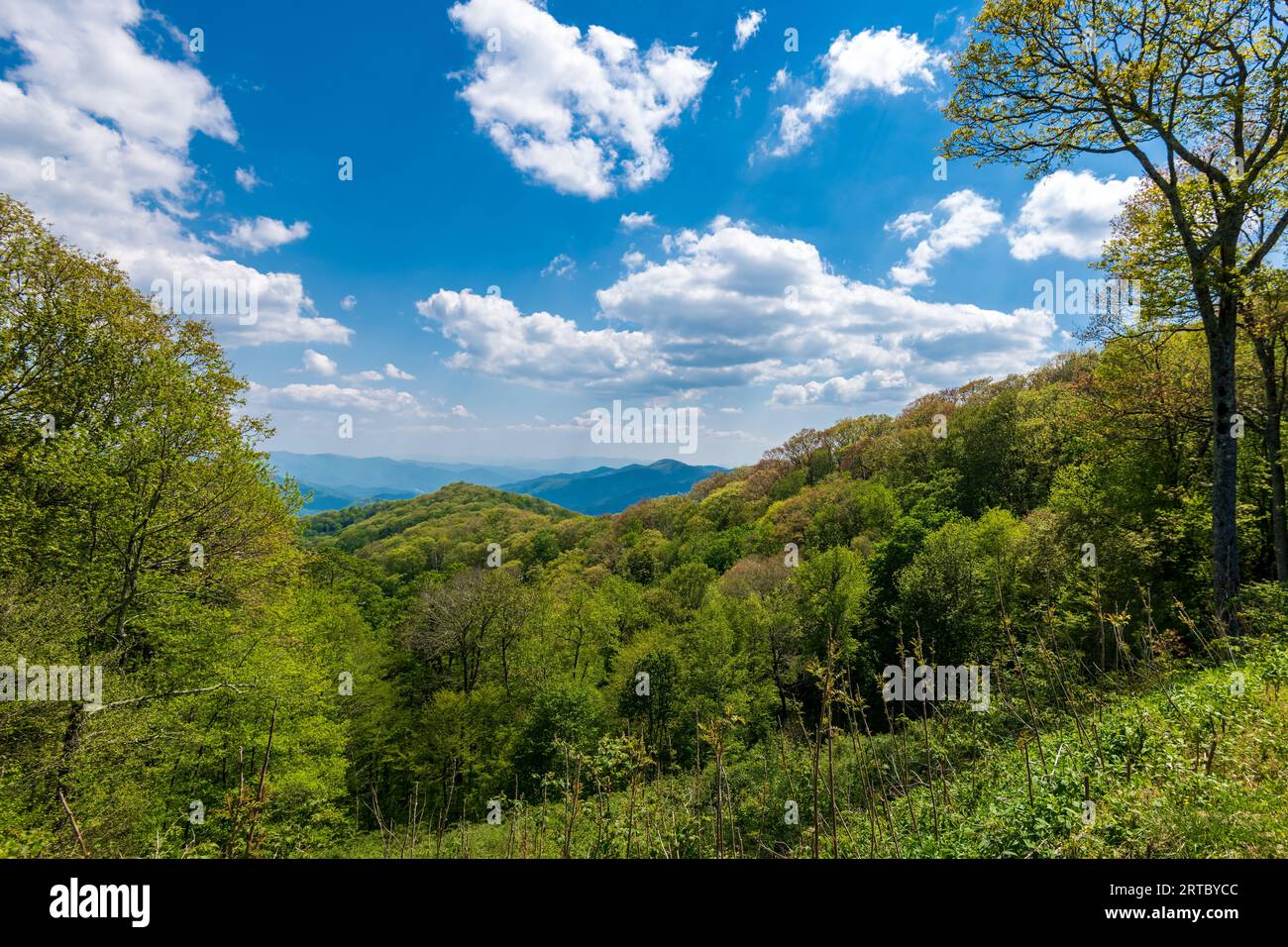 Affacciato sul parco dalla nuova Found Gap Road Foto Stock