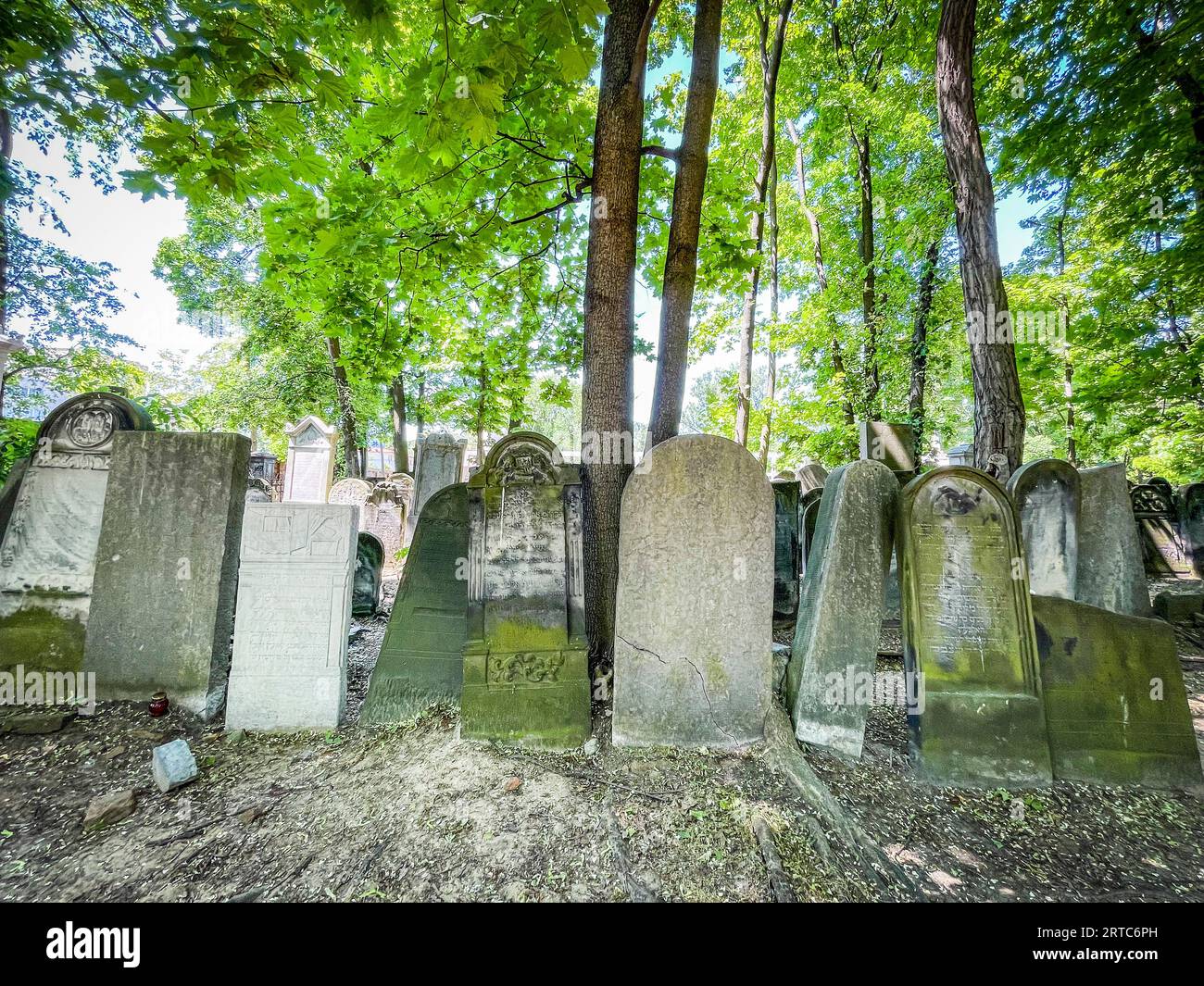 Polonia, Varsavia, cimitero ebraico Foto Stock
