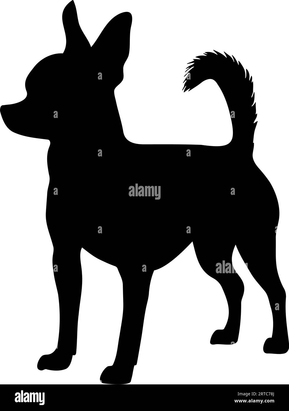 Simbolo dell'icona della silhouette del cane Chihuahua. Illustrazione vettoriale Illustrazione Vettoriale