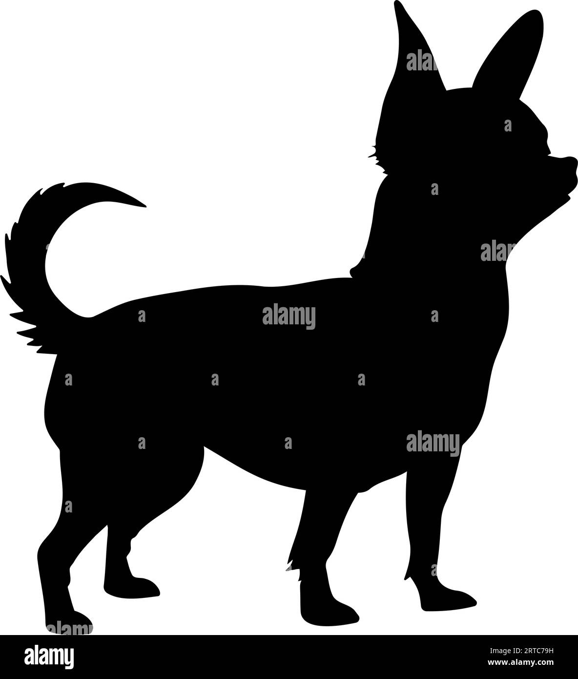 Simbolo dell'icona della silhouette del cane Chihuahua. Illustrazione vettoriale Illustrazione Vettoriale
