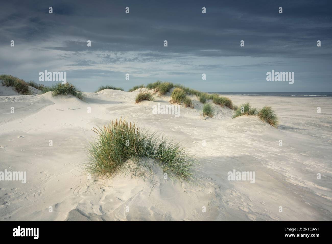 Dune di sabbia nella Juist, nelle Isole Frisoni Orientali, nella bassa Sassonia, in Germania, in Europa Foto Stock