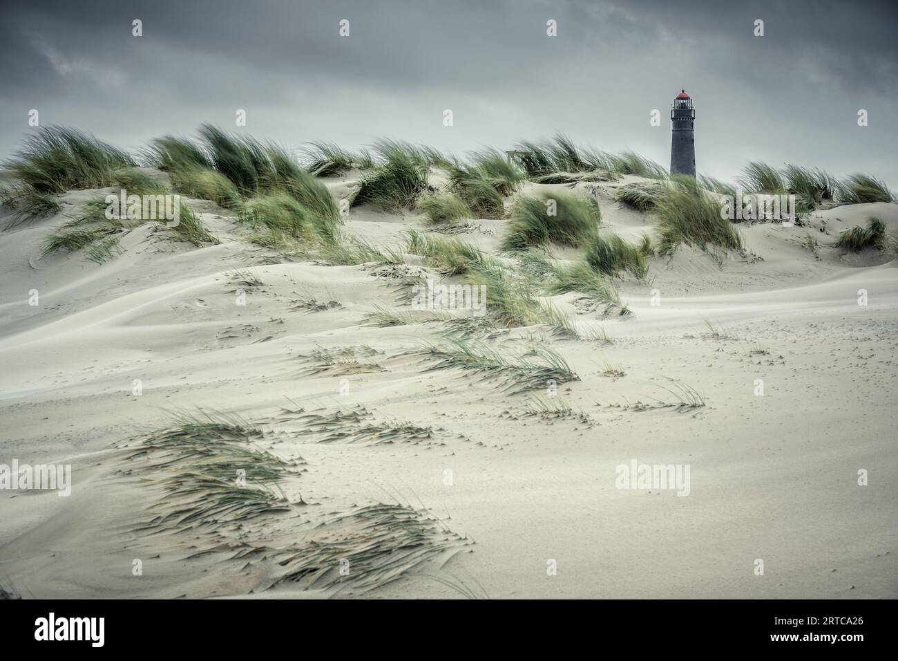 Paesaggio dune con faro, Borkum, Isole Frisoni orientali, bassa Sassonia, Germania, Europa Foto Stock