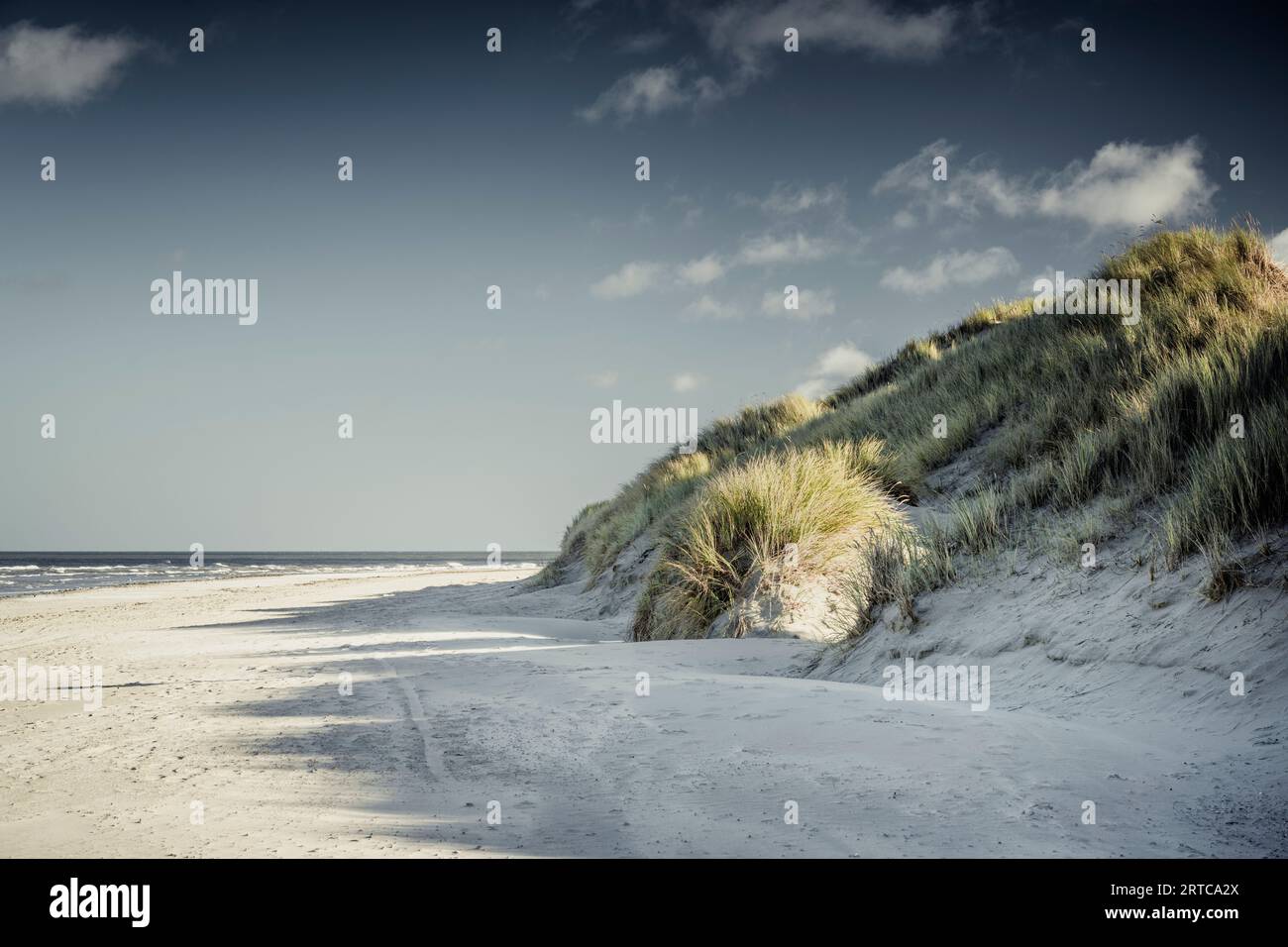 Dune sulla spiaggia di Baltrum, Isole Frisoni Orientali, bassa Sassonia, Germania, Europa Foto Stock