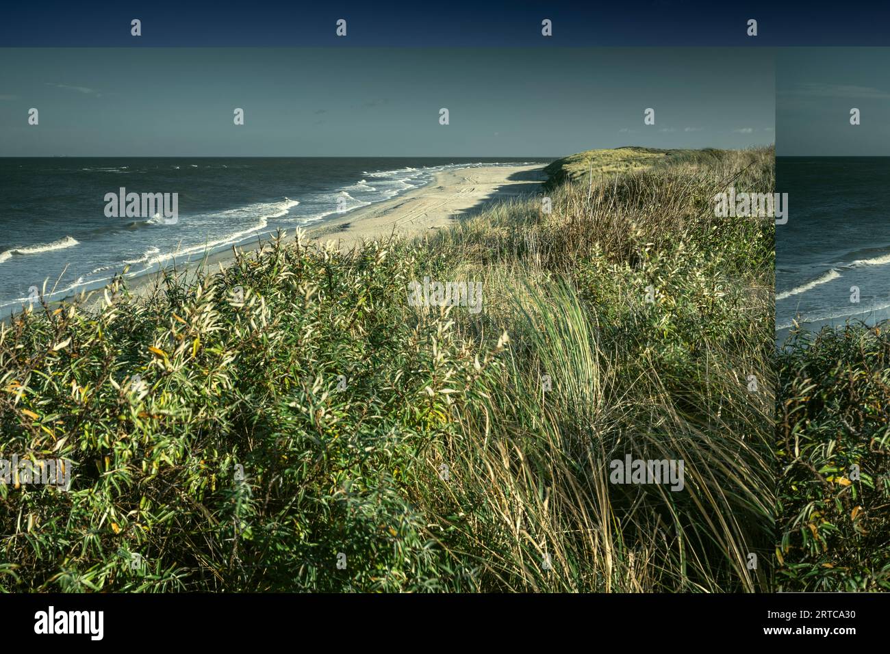 Spiaggia di Baltrum, Isole Frisone Orientali, bassa Sassonia, Germania, Europa Foto Stock
