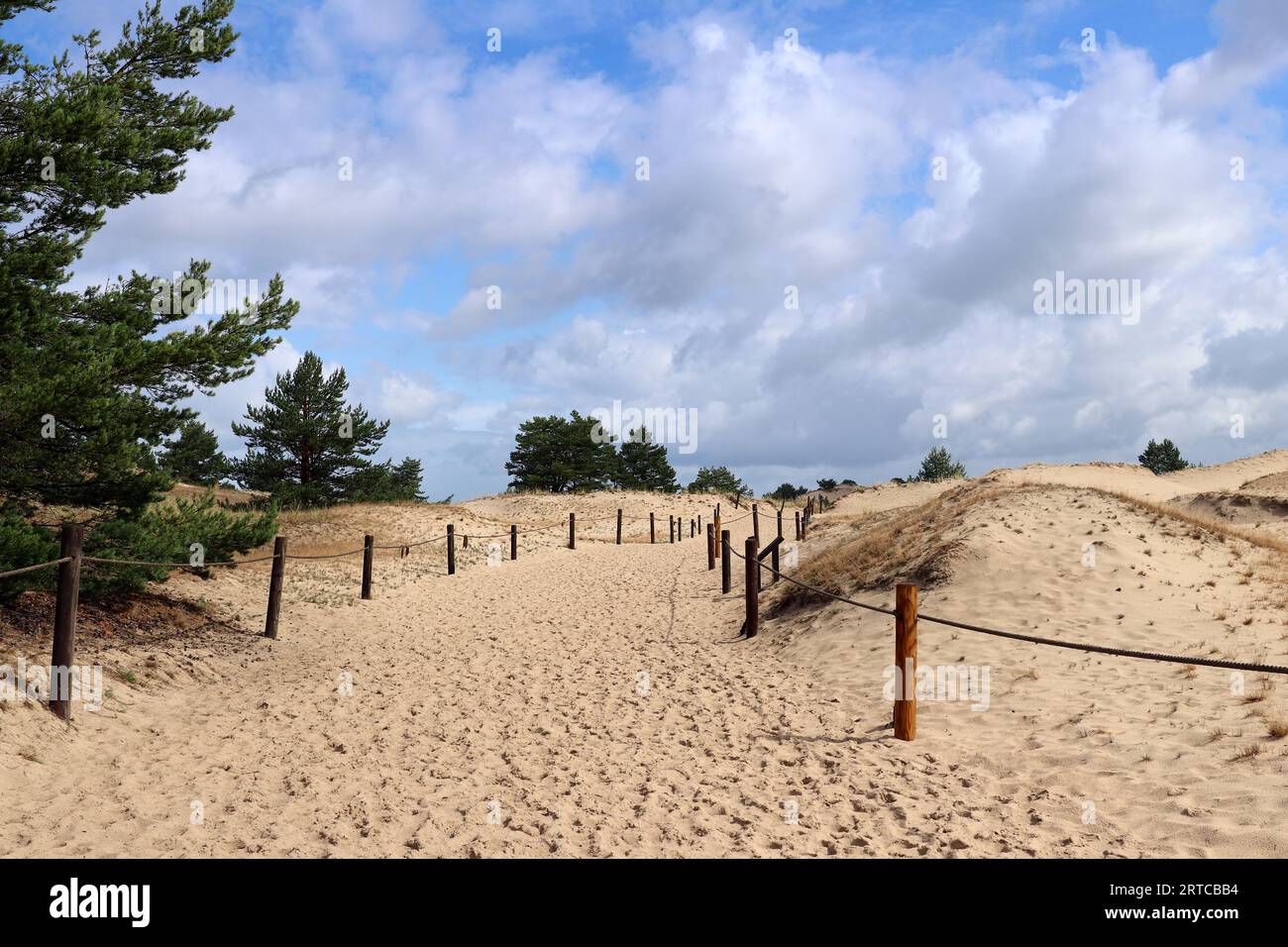 Sentiero turistico attraverso le dune vicino al villaggio di Czolpino nel Parco Nazionale Slovacco, in Polonia Foto Stock