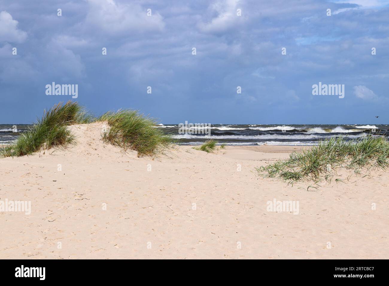 Costa del Mar Baltico e spiaggia selvaggia accanto alle dune mobili del Parco Nazionale Slovacco, conosciuto anche come Parco Nazionale Slowinski, Polonia Foto Stock