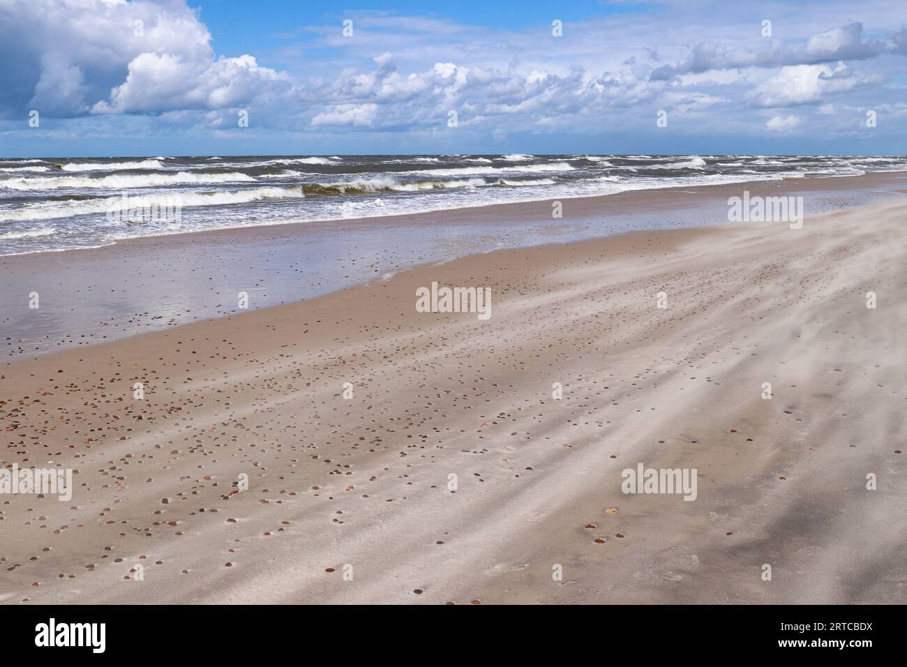 Vento che soffia sabbia fine sulla spiaggia della costa del Mar Baltico, Czolpino, Polonia Foto Stock