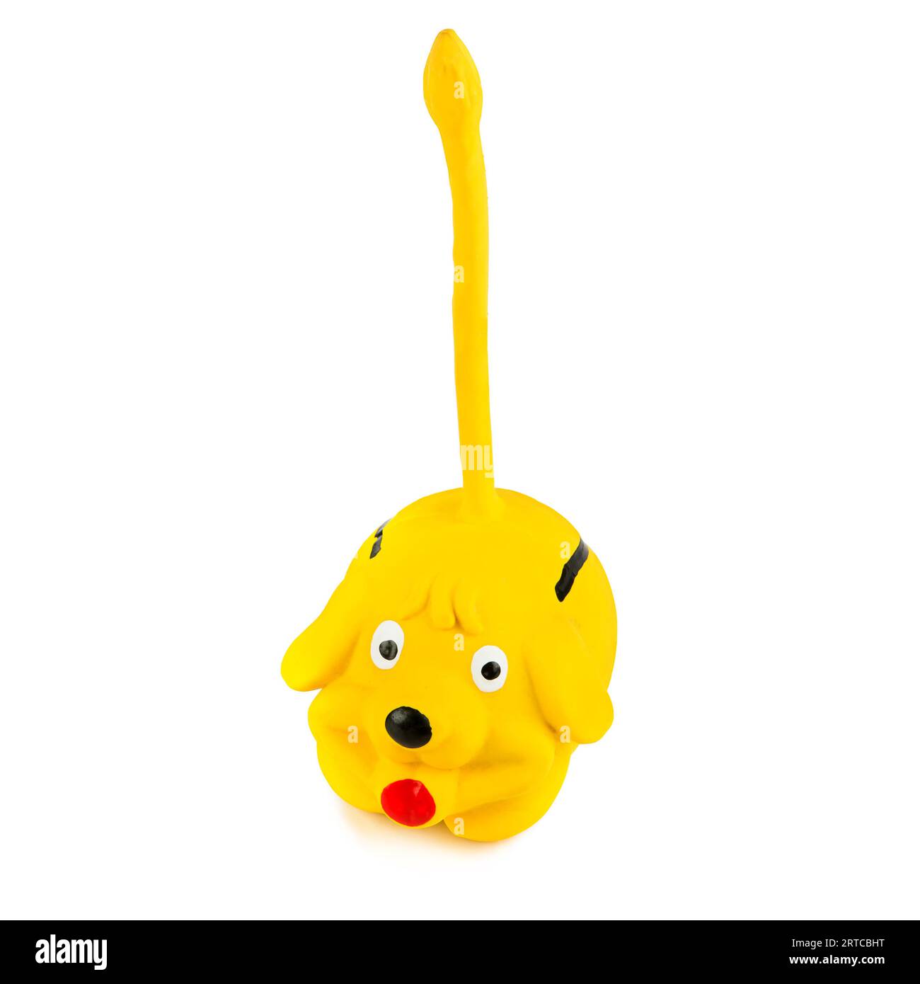 Piccolo cane di gomma (giocattolo per animali domestici) isolato su sfondo bianco. Foto Stock