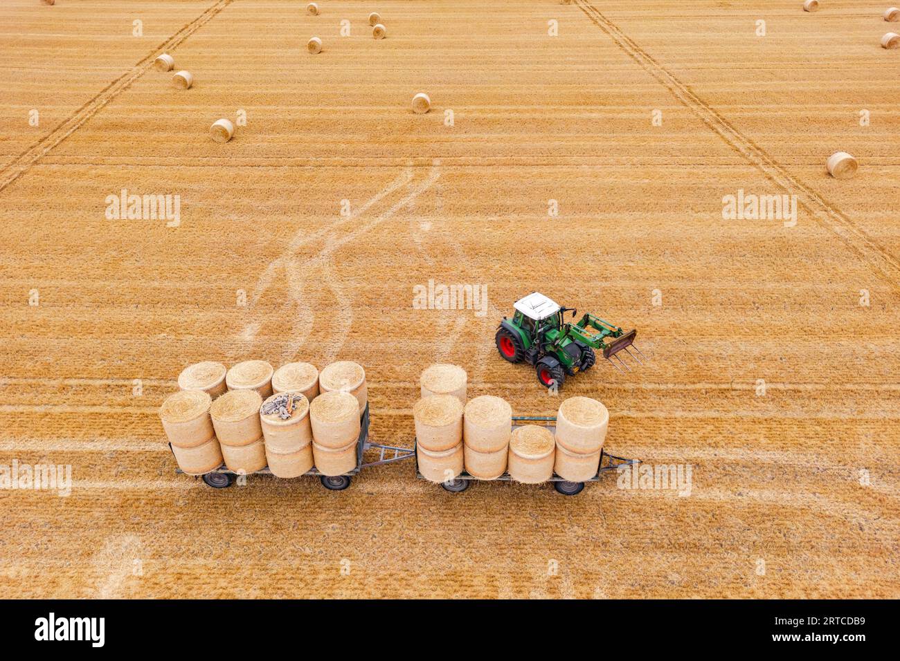 Un trattore con forca a forchetta carica balle di fieno su un rimorchio durante l'estate secca, Assia, Germania Foto Stock