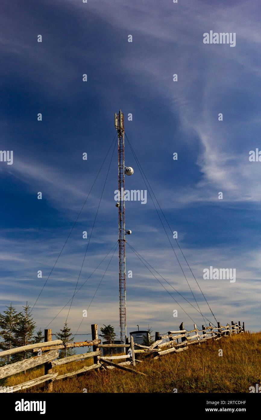 Torre delle telecomunicazioni con sistema di antenna radio, microonde e televisione situata nella foresta contro il cielo blu. Torre dell'antenna, vista dal Foto Stock