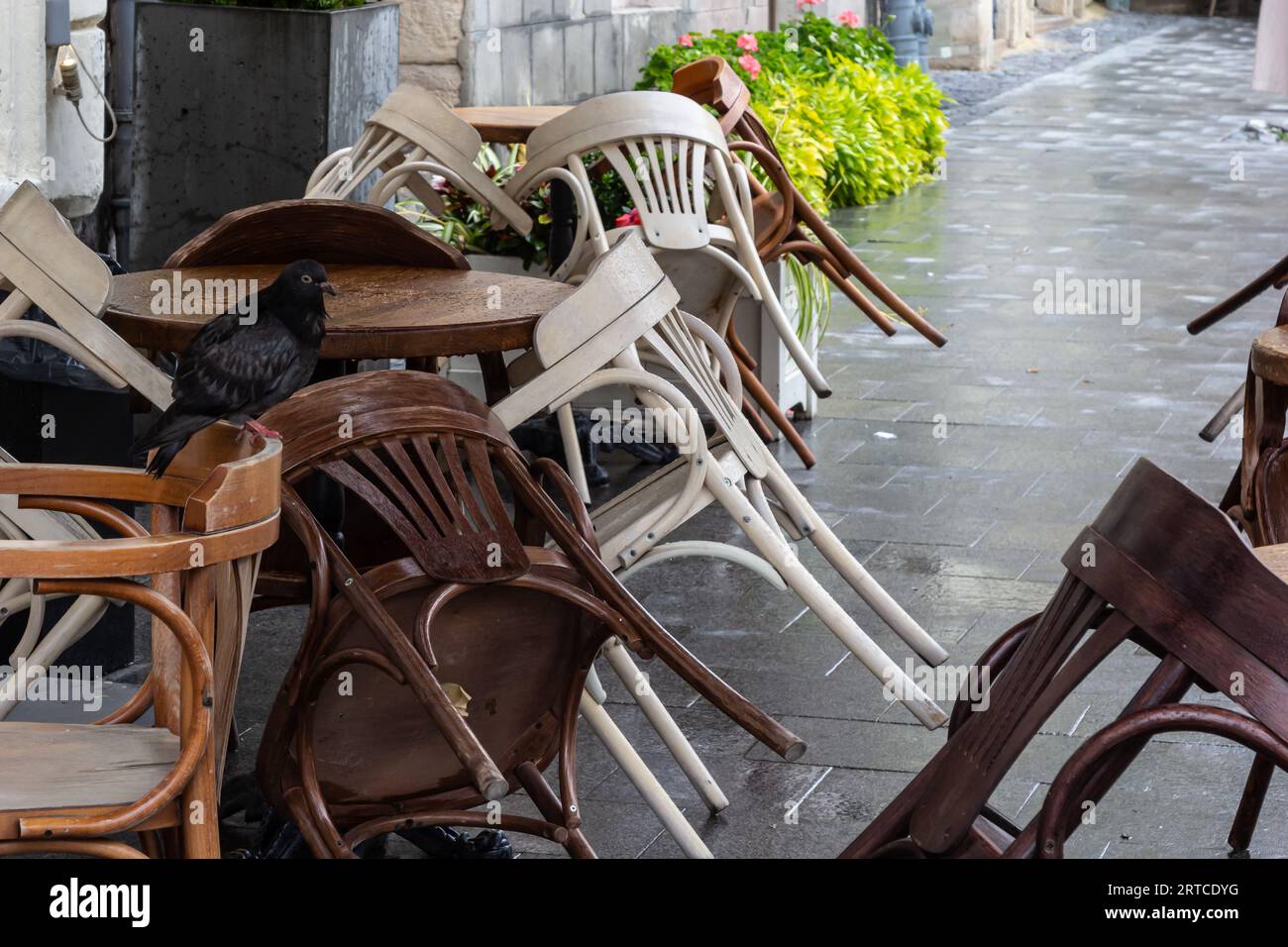 Tavolo e sedie in legno bagnato vuoti sulla terrazza della caffetteria all'aperto durante la pioggia. Vita cittadina di strada sotto la pioggia. Foto Stock