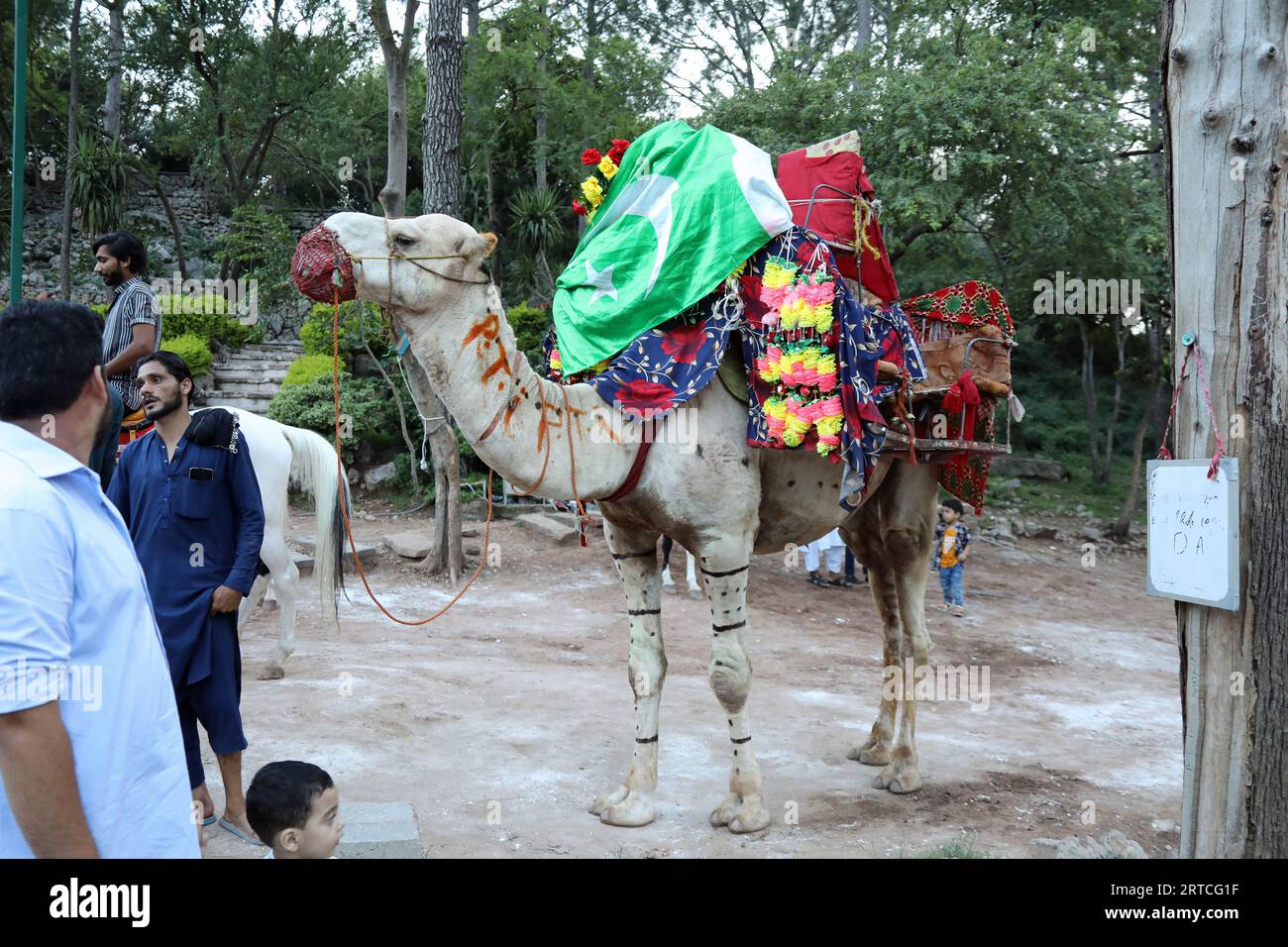 Attrazione a dorso di cammello presso il monumento del Pakistan a Islamabad Foto Stock