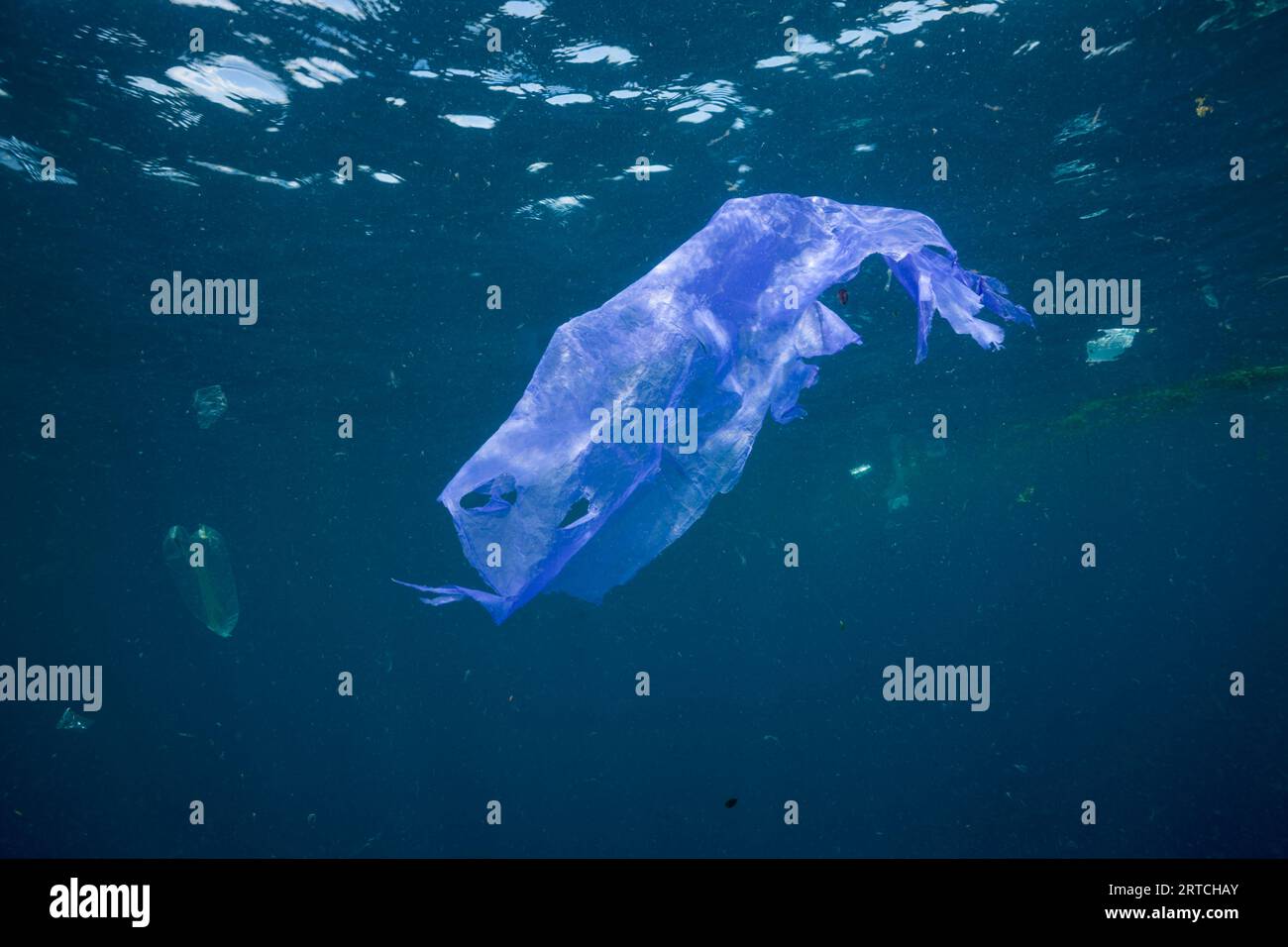 Rifiuti di plastica in mare, Raja Ampat, Papua Occidentale, Indonesia Foto Stock