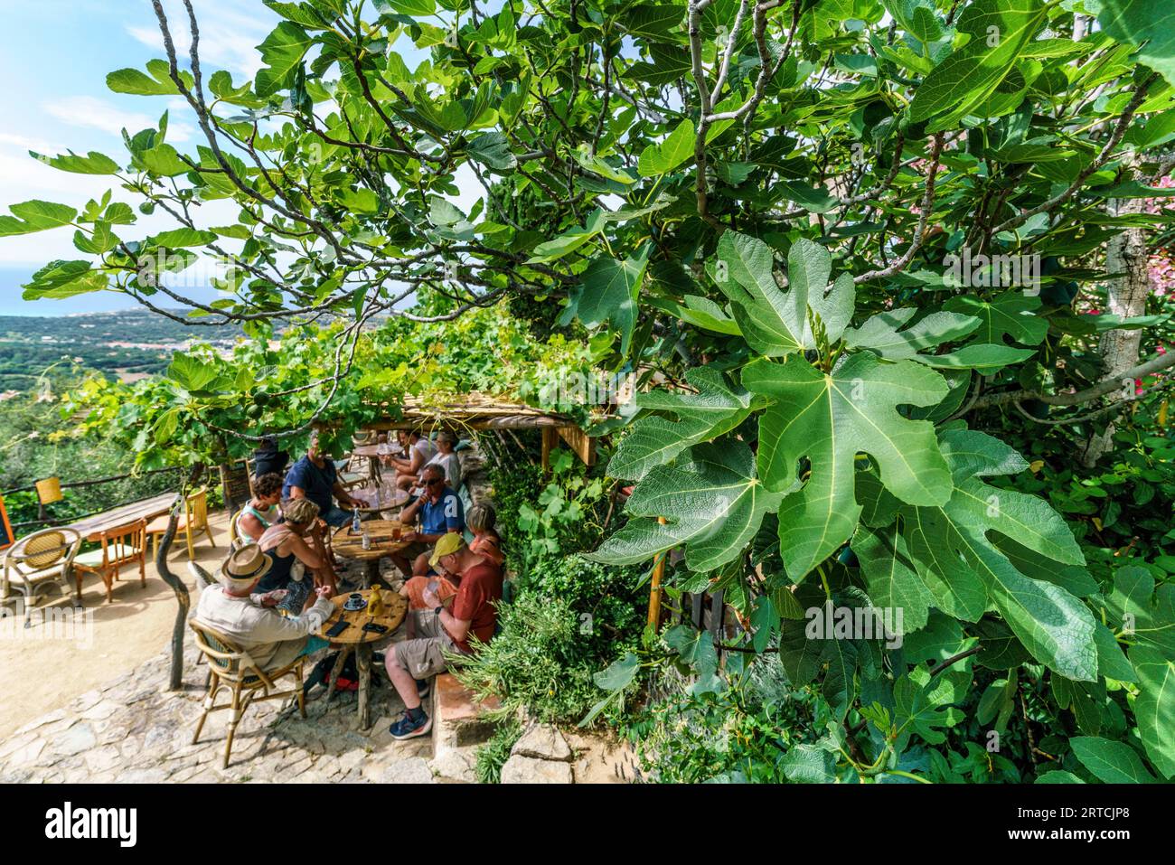 Pigna, artisti'39; villaggio, villaggio di montagna, caffè, Corsica, Francia, Europa Foto Stock