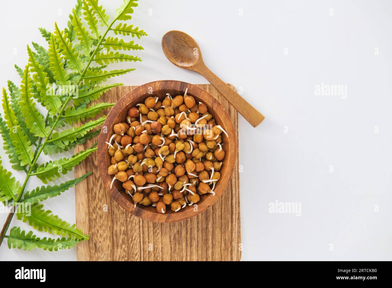 Kala Chana germogliata o Ceci nere o brune, uno dei sostituti vegani per proteine ricche con alto contenuto di enzimi viventi. Concetto di g sano Foto Stock