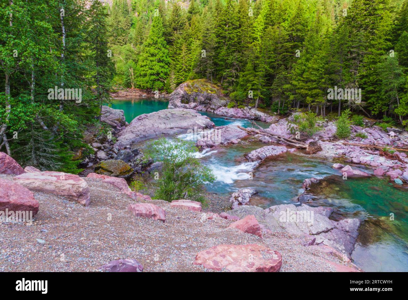 Rapide e rocce sull'Avalanche Creek nel Glacier National Park in Montana. Foto Stock