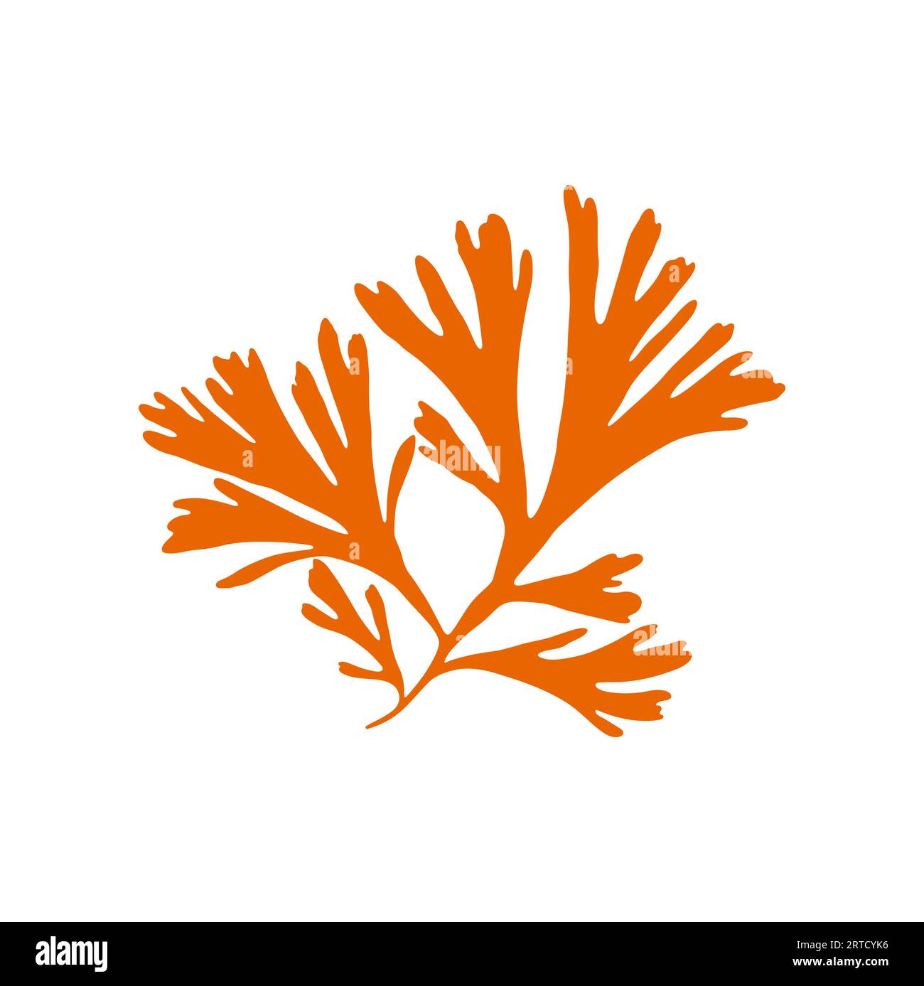 Corallo cespuglio morbido anemone isolato corallo galassico morbido. Icona di alghe gorgonie vettoriali arancioni. Rami di piante sottomarine, vasche e acquari decorativi marini Illustrazione Vettoriale
