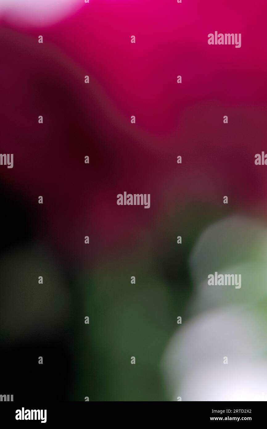 Astratto, sfondo, grafica, foto Kazimierz Jurewicz Foto Stock