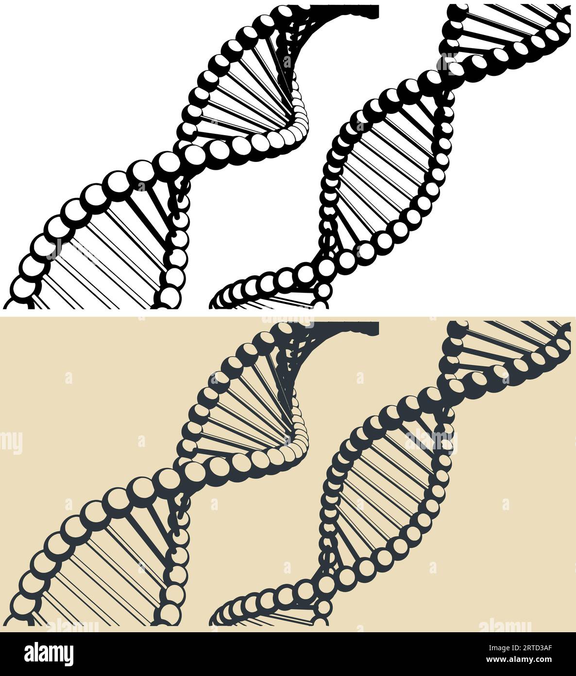Illustrazioni vettoriali stilizzate delle catene di DNA Illustrazione Vettoriale