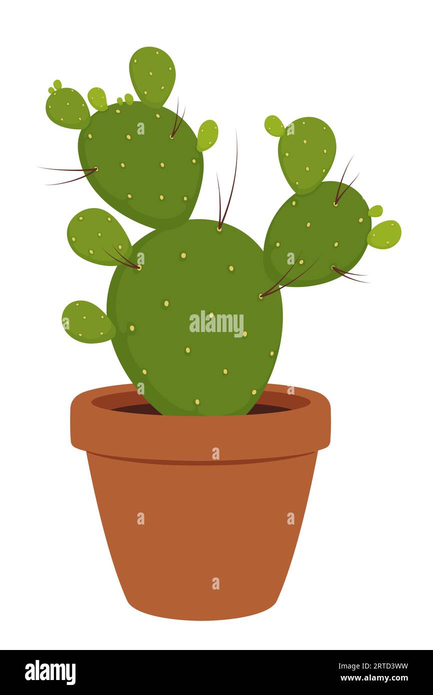 Pianta grassa verde di opuntia in vaso di ceramica. Vettoriale isolato engelmann fico d'India, noPAL, paddle, coniglio o polka dot. Beavertail, santa rita, Illustrazione Vettoriale