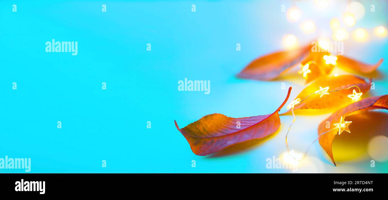 Arte felice di ringraziamento banner design. foglie gialle autunnali e luci festive su sfondo blu Foto Stock