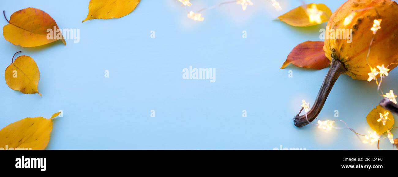 Felice biglietto di auguri del Ringraziamento o banner con zucca, zucca e foglie su sfondo azzurro; spazio copia Foto Stock