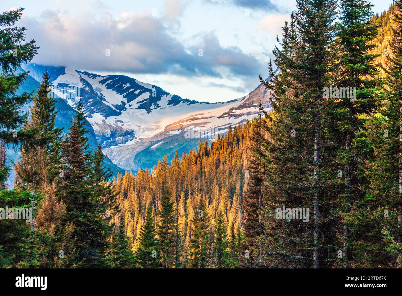 Jackson Glacier, visto dalla strada del sole nel Glacier National Park nel Montana. Questo è uno dei pochi ghiacciai rimasti nel parco. Foto Stock