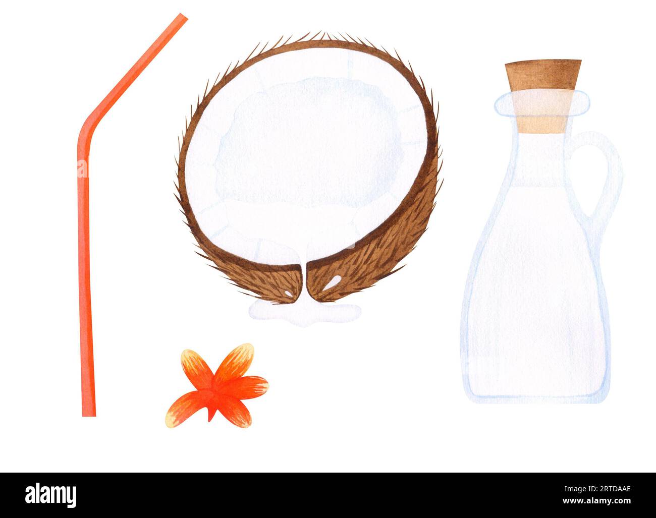 Set di elementi tropicali di cocco acquerello per il design con fiore di plumeria, tubo per cocktail e una bottiglia di latte Foto Stock