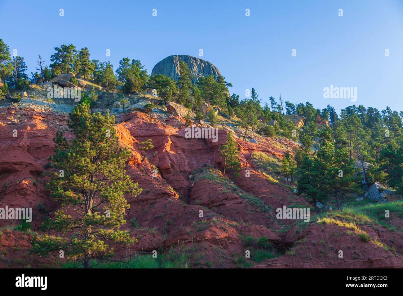Alba che splende sulle scogliere di roccia rossa al devil's Tower National Monument nel Wyoming. Devils Tower, che sorge a 1267 metri sopra il fiume Belle Fourche. Foto Stock