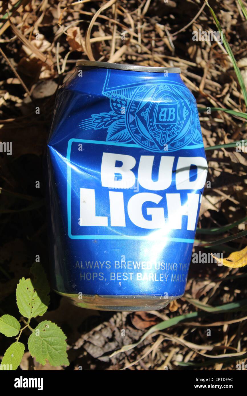 La birra Bud Light dented può essere bevuta al sole con foglie verdi vicino ad essa a Iroquois Woods a Park Ridge, Illinois Foto Stock