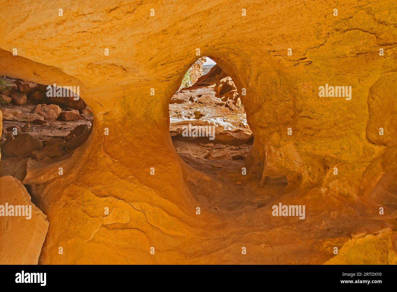 Formazioni rocciose di Cederberg 12940 Foto Stock