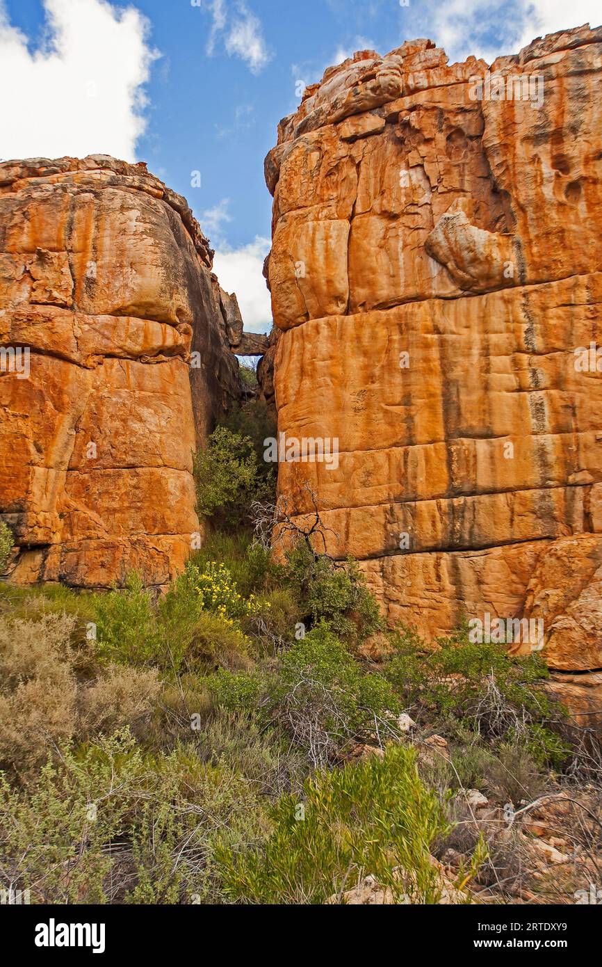 Formazioni rocciose di Cederberg 12928 Foto Stock