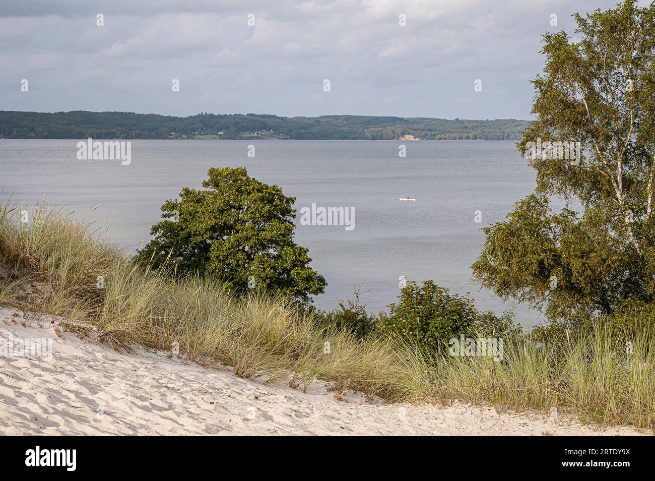 Vista dalle dune sabbiose di Hvidbjerg sul firth of Vejle, Danimarca, 3 settembre 2023 Foto Stock