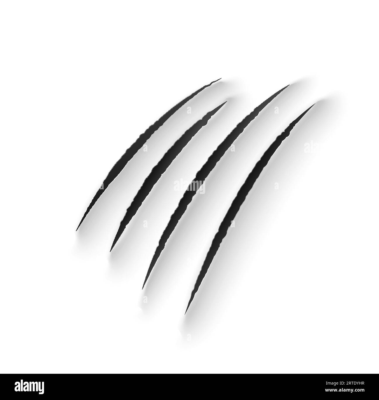 Graffi, graffi, strappi vettoriali di animali selvatici. Traccia delle unghie dei predatori, branchi di zampe di orso o gatto, realistici segni 3d di leone, mostro, drago o bestia, spezza tracce su sfondo di carta bianca Illustrazione Vettoriale