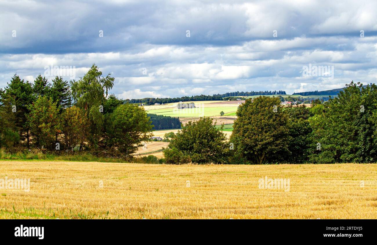 Vista panoramica di settembre della Strathmore Valley e delle Sidlaw Hills a Dundee, Scozia Foto Stock