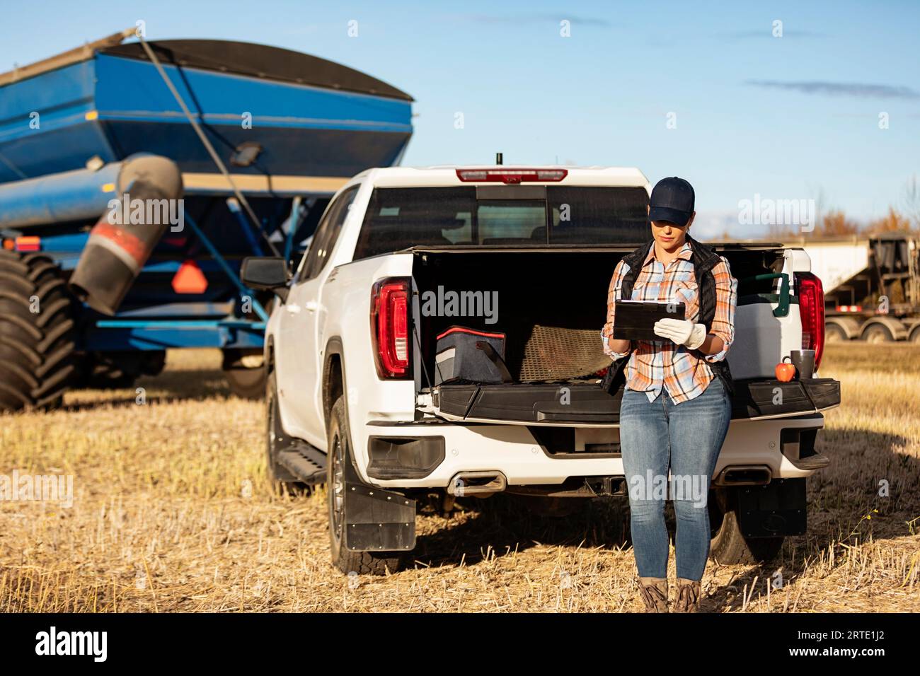 Un agricoltore appoggiato sul portellone di un camion da mezza tonnellata e che utilizza un dispositivo wireless portatile per gestire e monitorare una raccolta di canola in autunno con un... Foto Stock